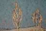 Impressionistische Winterlandschaft