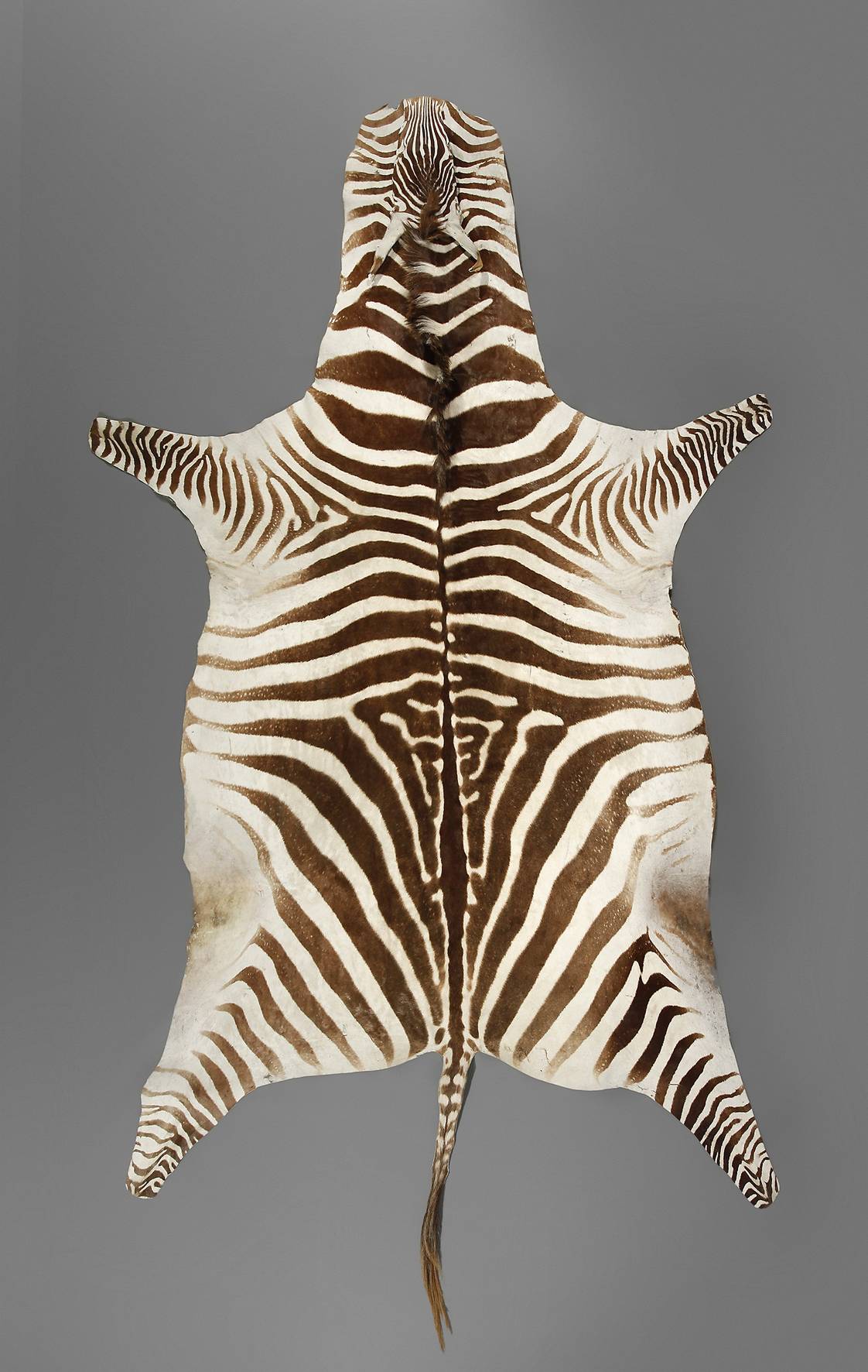 Zebrafell