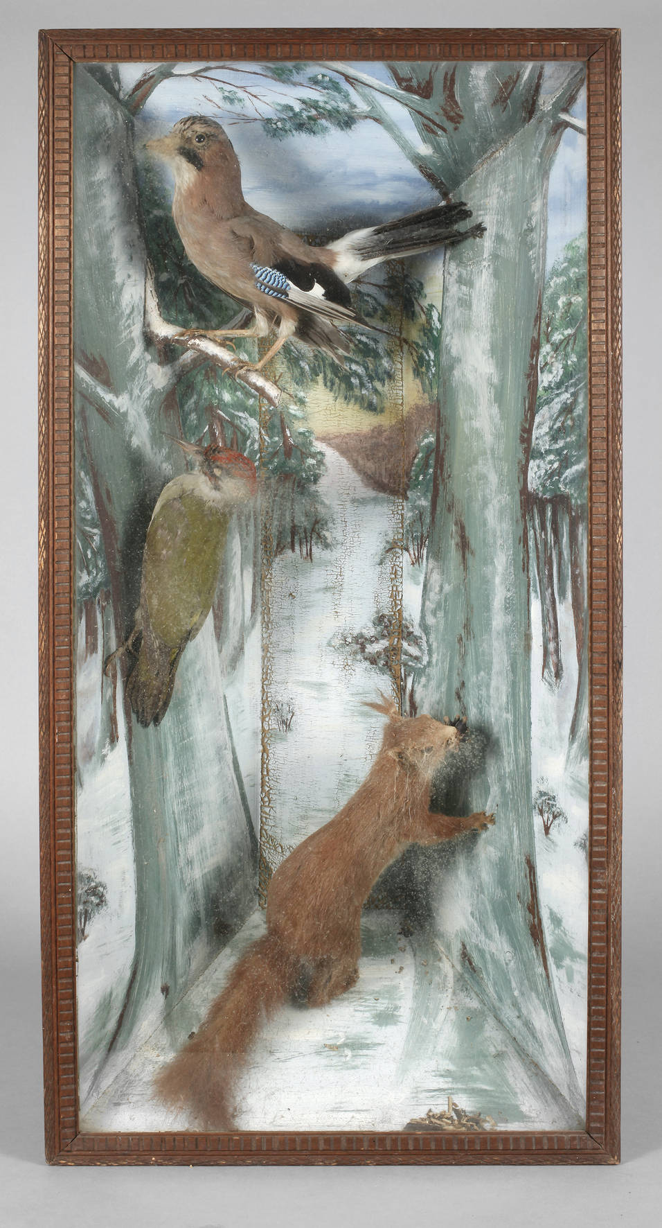 Schaukasten mit Tierpräparaten