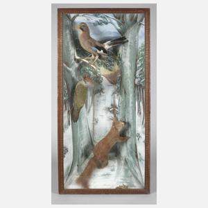 Schaukasten mit Tierpräparaten