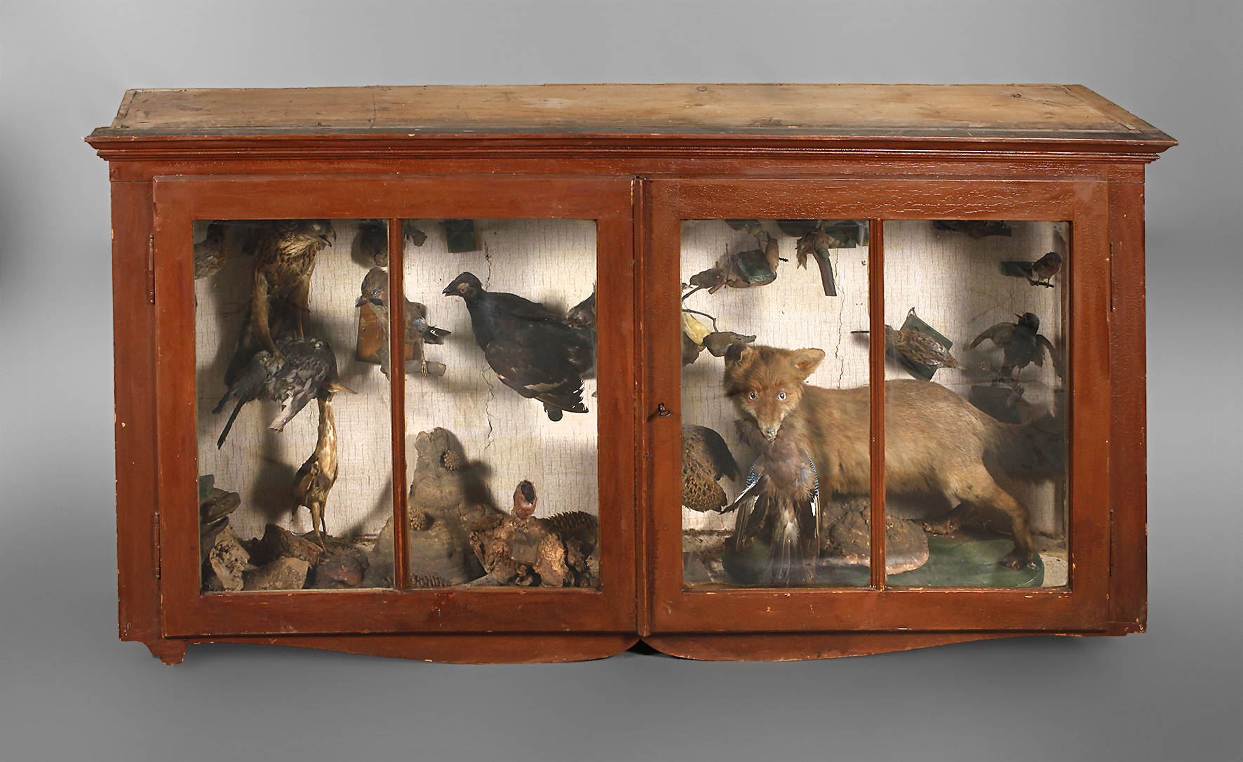Wandvitrine mit Tierpräperaten