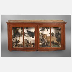 Wandvitrine mit Tierpräperaten