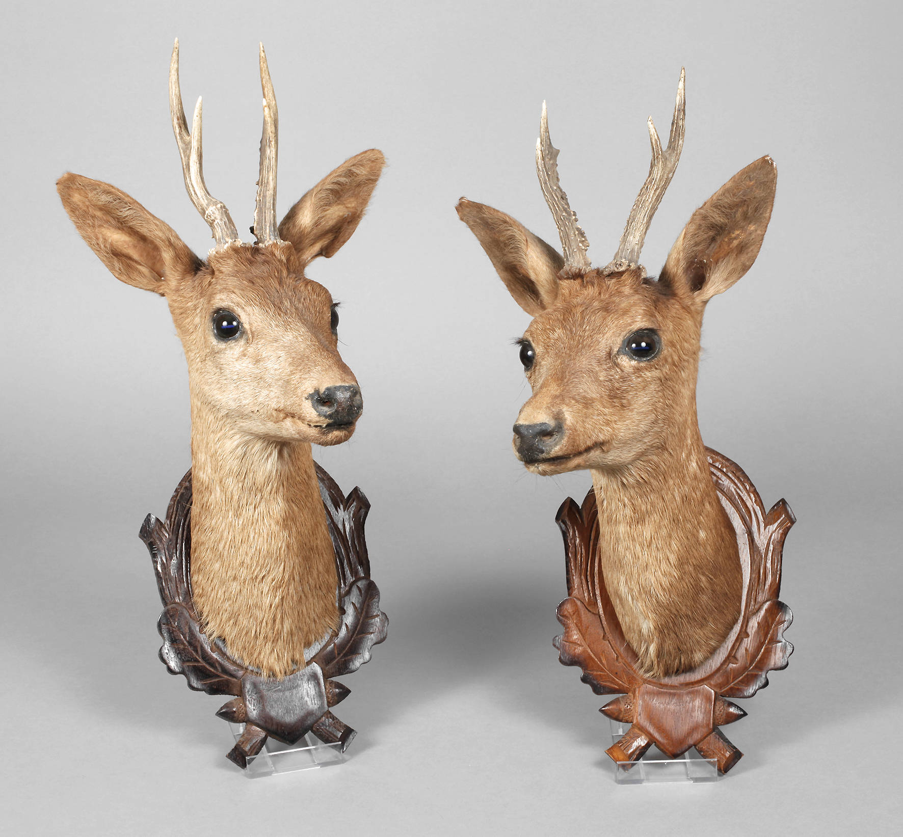Paar Jagdtrophäen