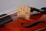 Violine im Etui