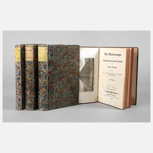 Stralheims Ansichtenwerk 1835/1836