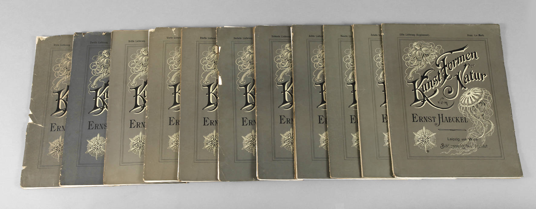 Kunst-Formen der Natur