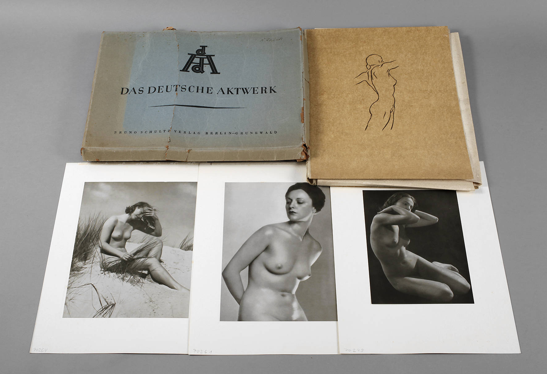 Das deutsche Aktwerk