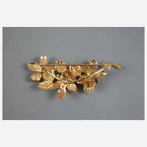 Brillantbrosche als Blütenzweig