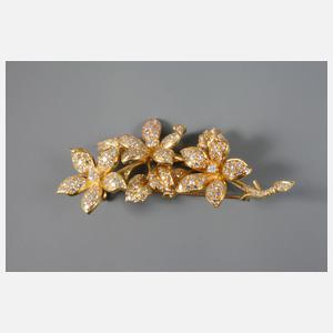 Brillantbrosche als Blütenzweig