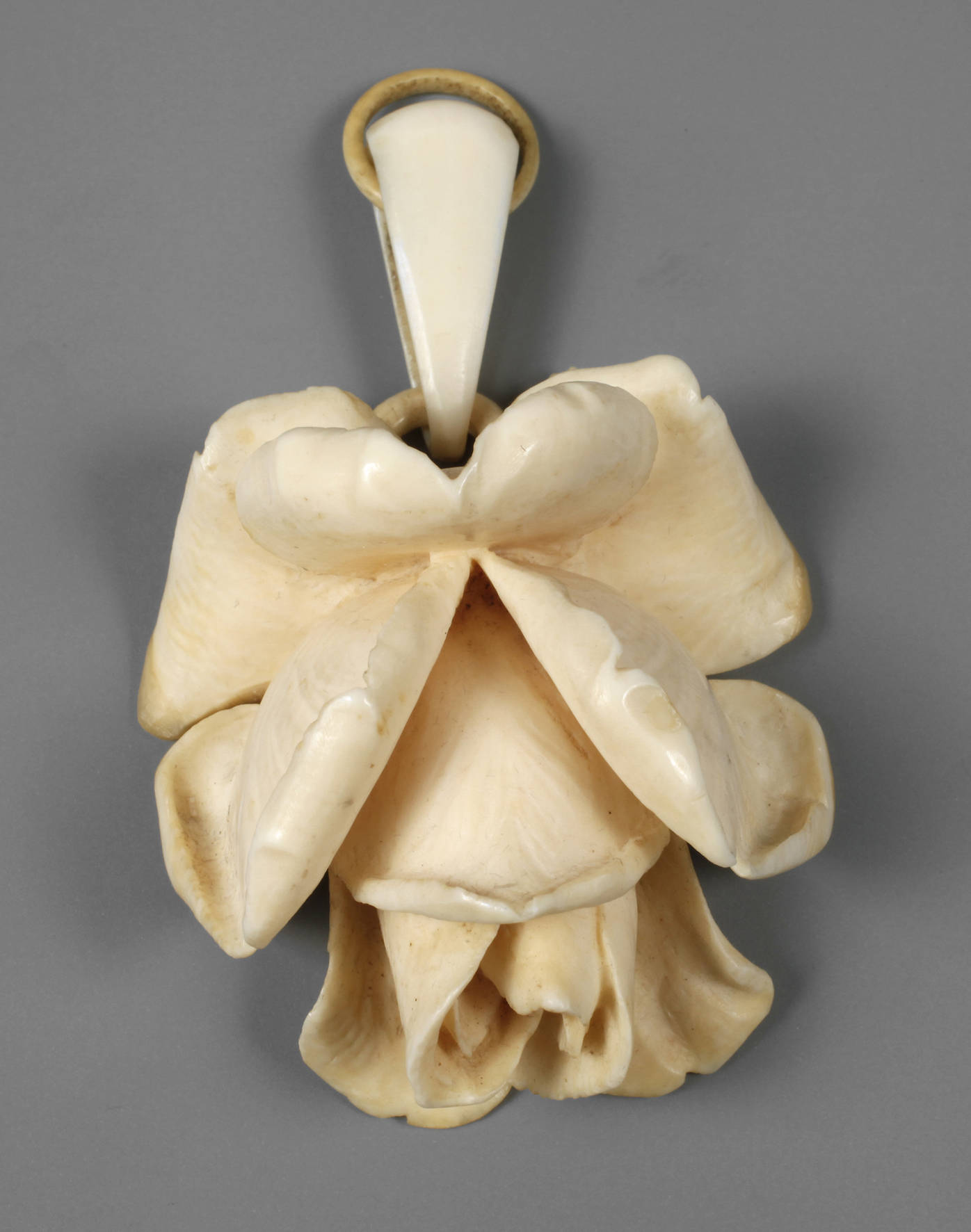 Rosenblüte Elfenbein