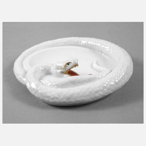 Fraureuth Schlangenschale