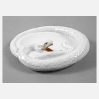 Fraureuth Schlangenschale111