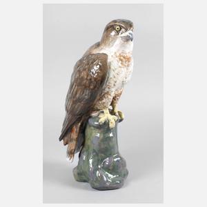 Karlsruhe großer Bussard auf Felsen