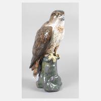 Karlsruhe großer Bussard auf Felsen111