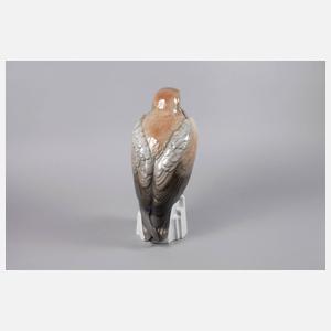 Ens Volkstedt großer Adler