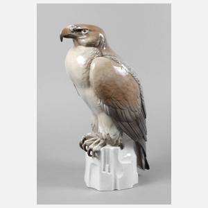 Ens Volkstedt großer Adler