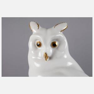 Heinrich & Co. großer Uhu