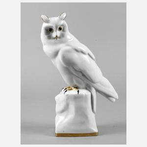 Heinrich & Co. großer Uhu