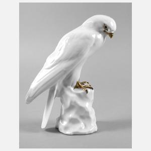 Krautheim Greifvogel