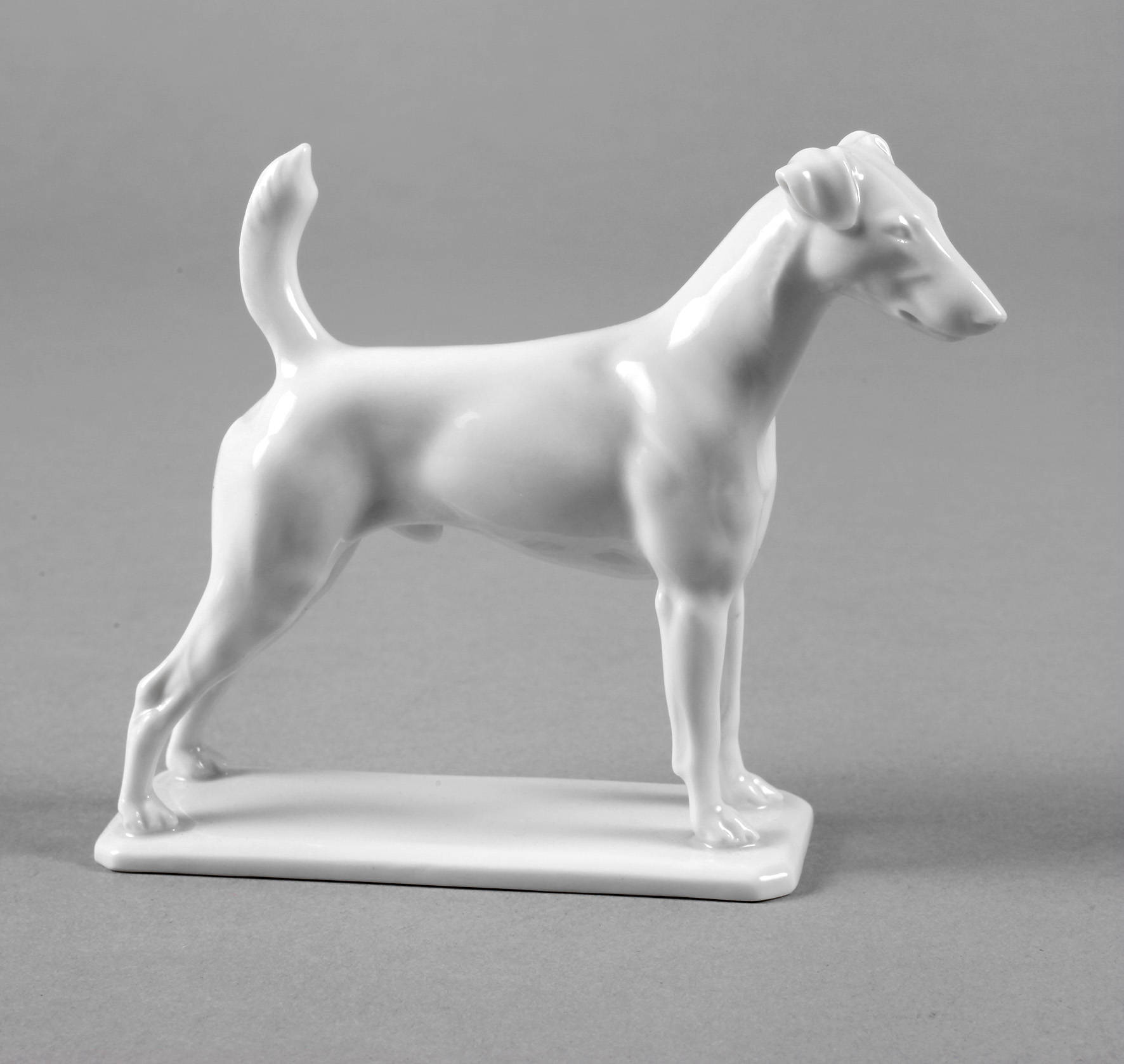 Rosenthal Terrier