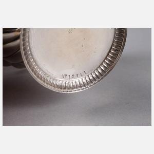 Silbersaliere mit Delfinen