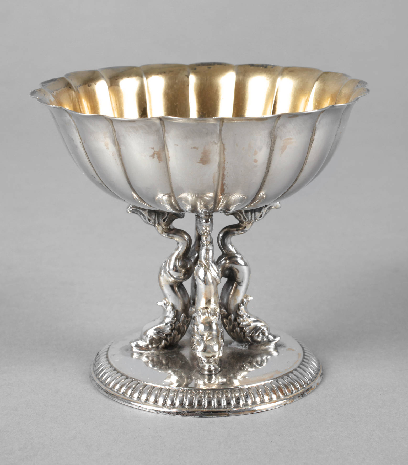 Silbersaliere mit Delfinen