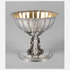 Silbersaliere mit Delfinen