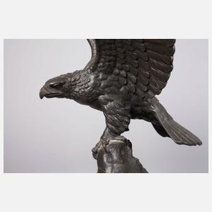 Carl Wilhelm Robra, Adler