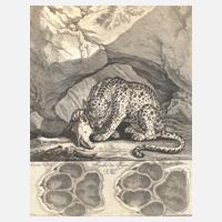 Johann Elias Ridinger, Spur des Tigers111