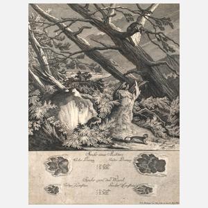 Johann Elias Ridinger, Darstellung Marder und Wiesel