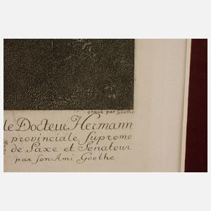 Johann Wolfgang von Goethe, Landschaft mit Wasserfall