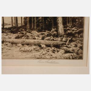 Percival Gaskell, Waldlandschaft