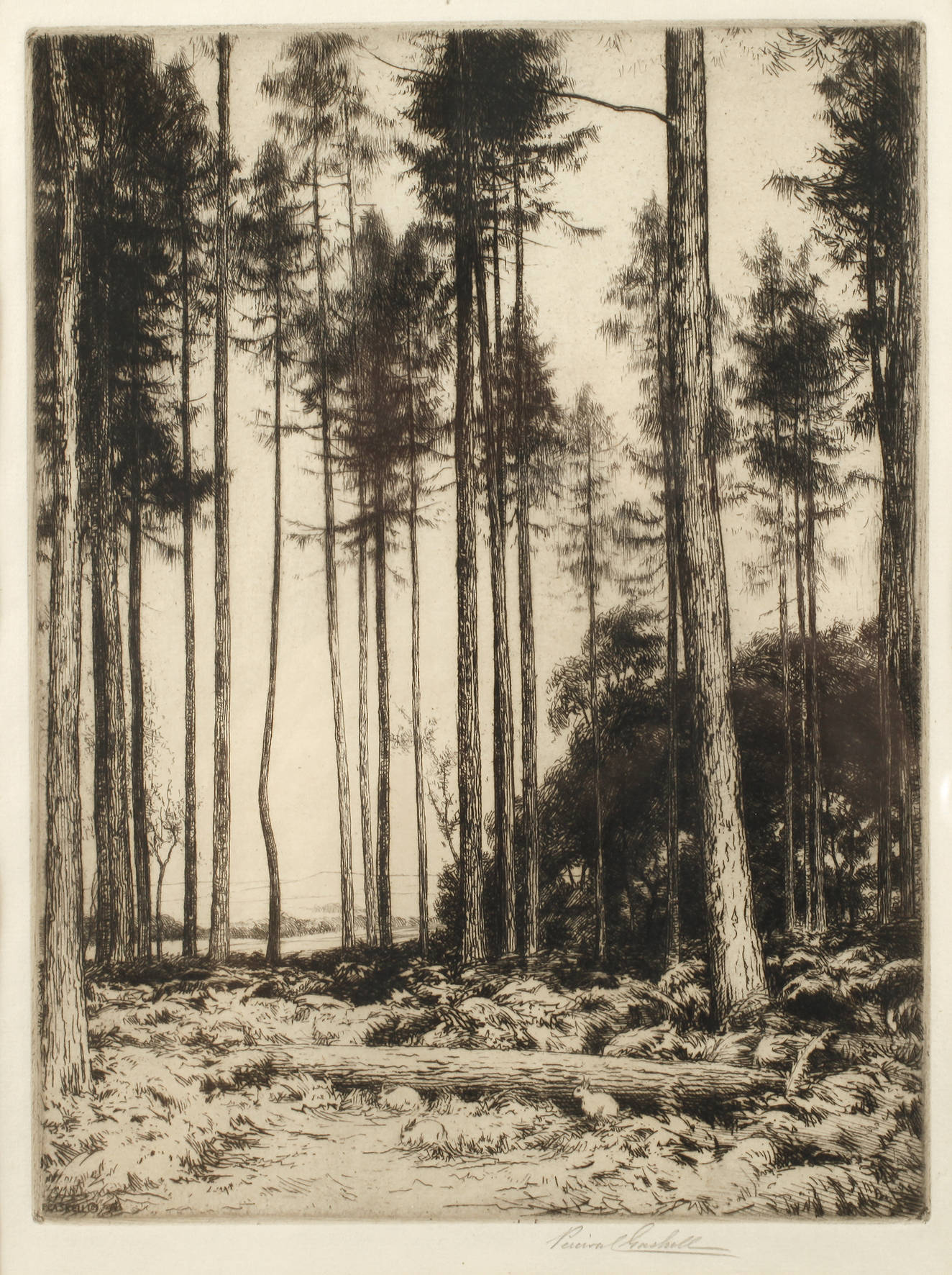 Percival Gaskell, Waldlandschaft