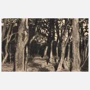 Walter Leistikow, Baumgruppe