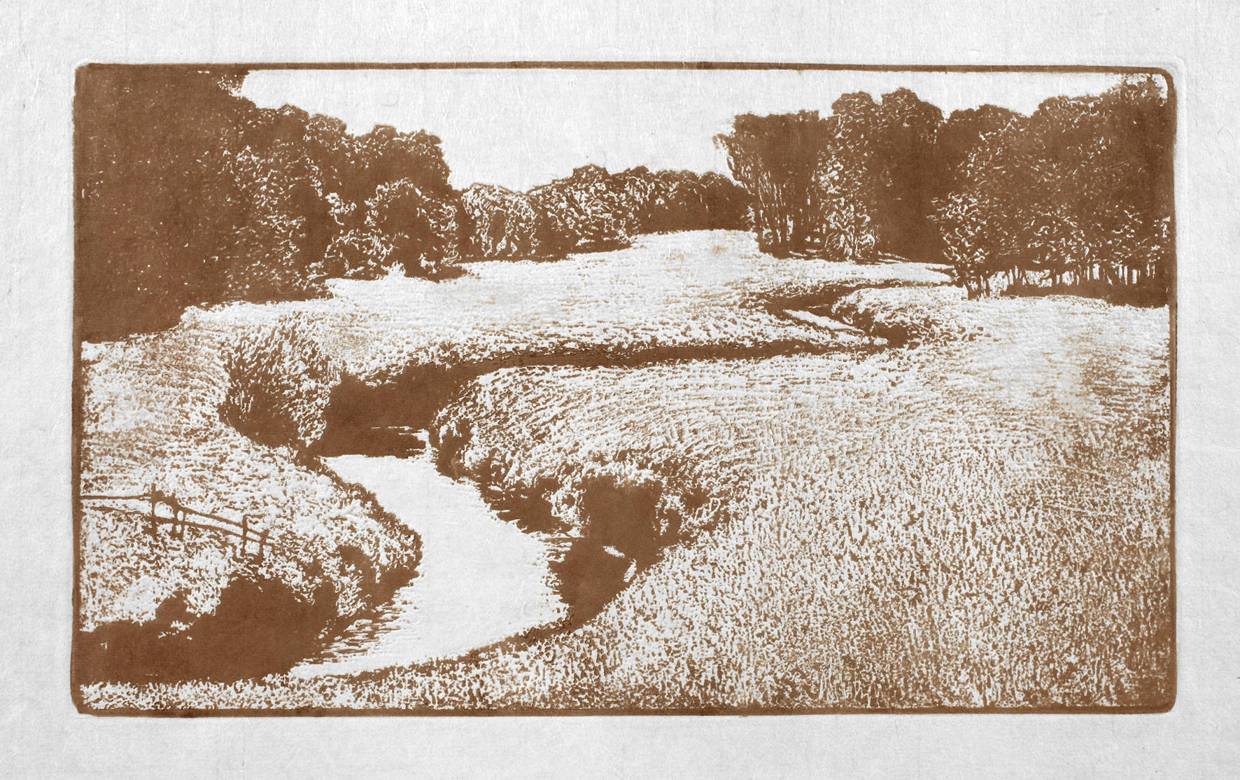 Arthur Illies, Bachaue