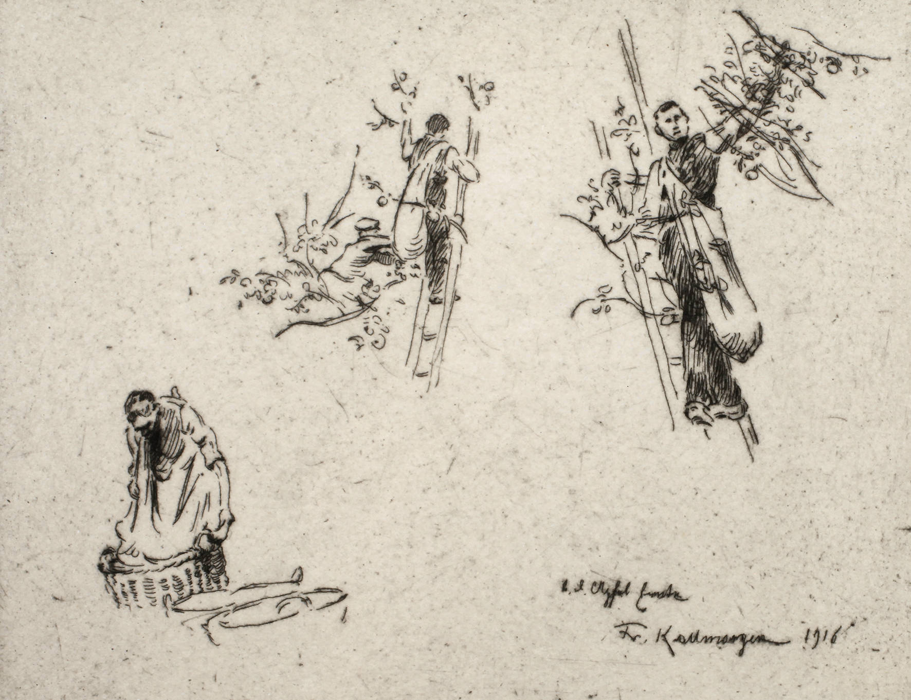 Prof. Friedrich Kallmorgen, ”Apfelernte”