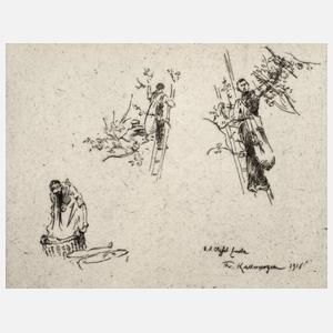 Prof. Friedrich Kallmorgen, ”Apfelernte”