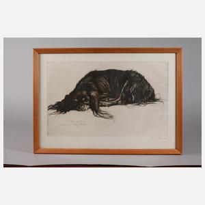 Prof. Richard Müller, ”Mein Quick”