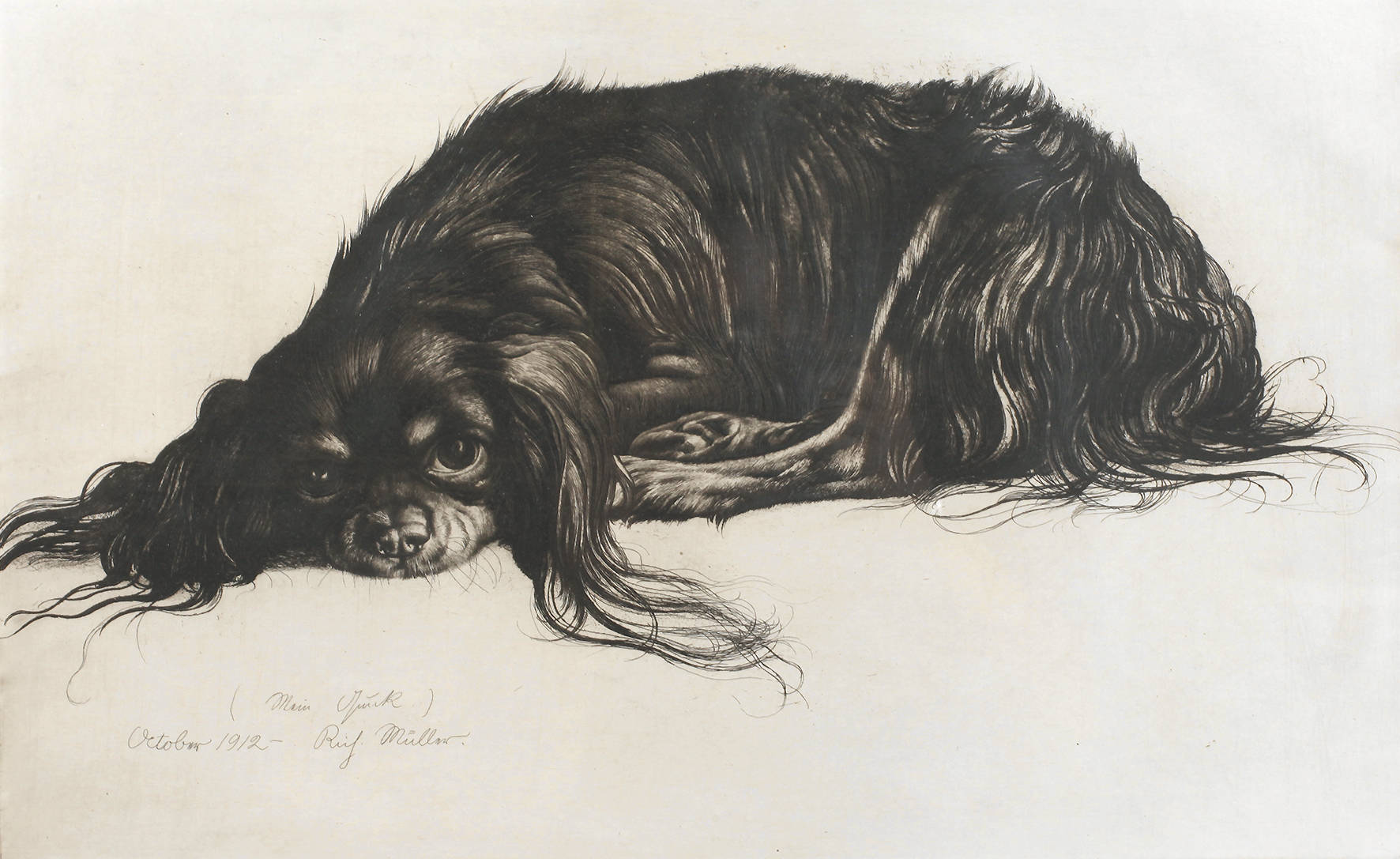 Prof. Richard Müller, ”Mein Quick”