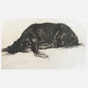 Prof. Richard Müller, ”Mein Quick”