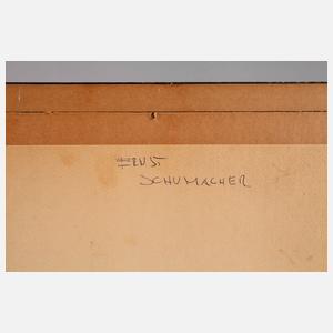 Ernst Schumacher, Stadtansicht