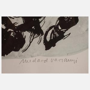 Medard Varsanyi, Pferdegruppe