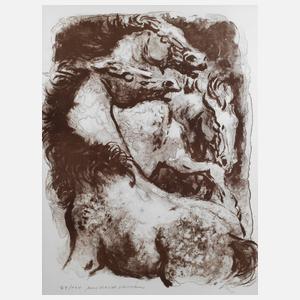 Medard Varsanyi, Pferdegruppe