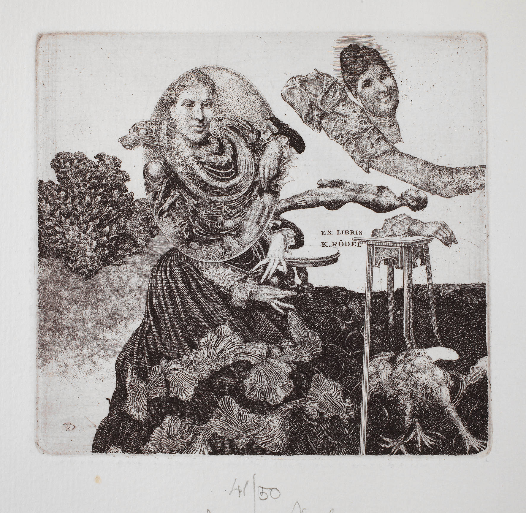 Prof. Albin Brunovsky, Exlibris K. Rödel