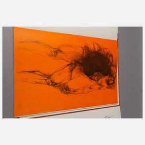 Leonard Baskin, Mappe ”Ars Anatomica”