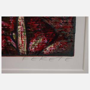 Esteban Fekete, ”Ammern”