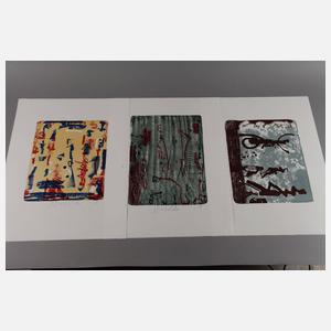 Strawalde (Jürgen Böttcher), sieben Farblithografien