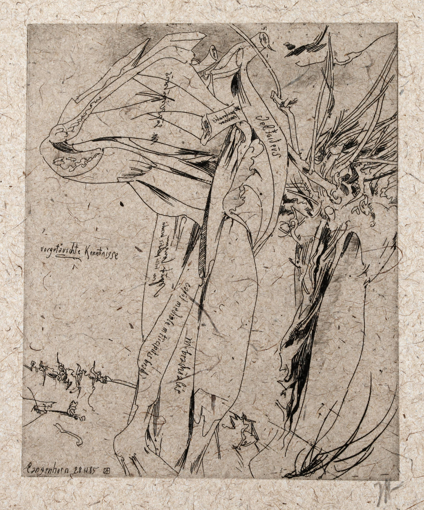 Horst Janssen, ”vorgetäuschte Kenntnisse”