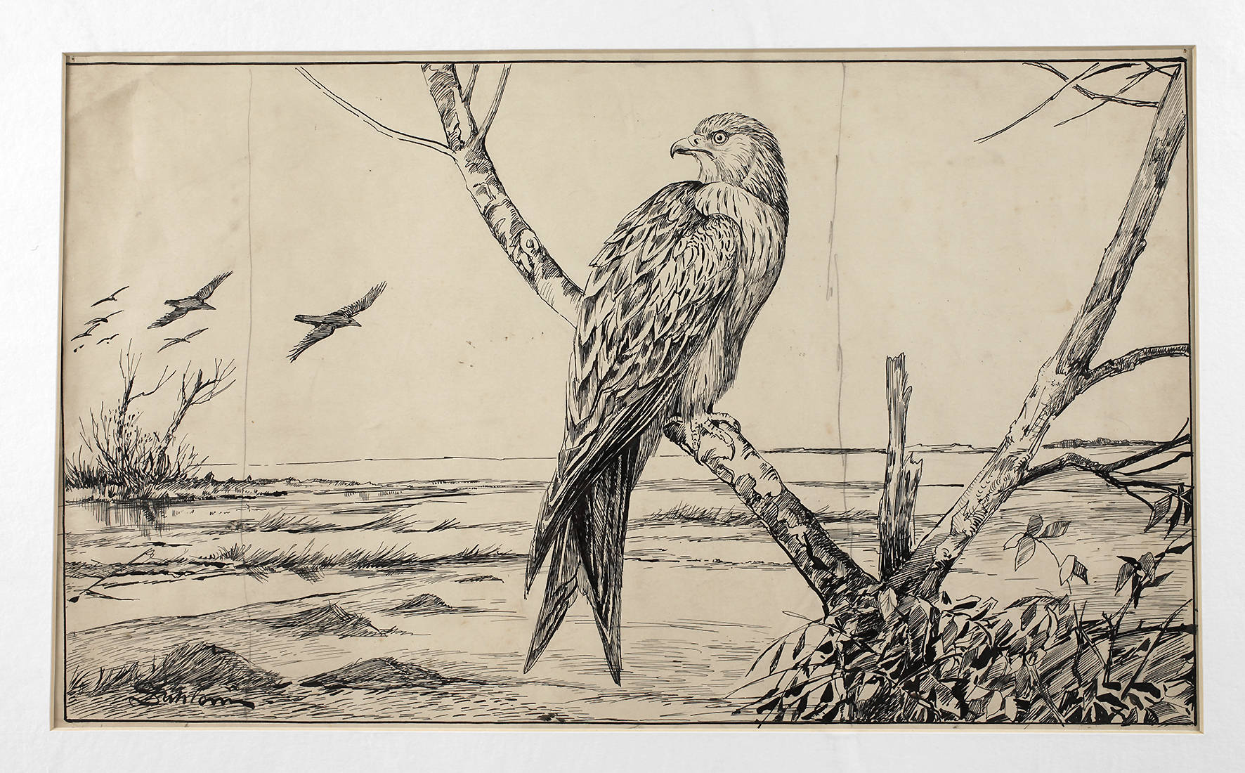 Joseph Dahlem, Illustrationsentwurf ”Roter Milan”