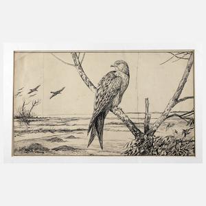 Joseph Dahlem, Illustrationsentwurf ”Roter Milan”